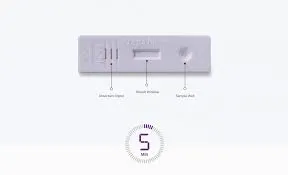 Prega News Pregnancy Test Kit box with pink and white packaging